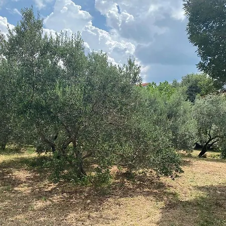 Jaki, Apartament *