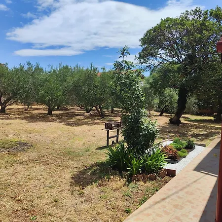 Jaki, Biograd Na Moru