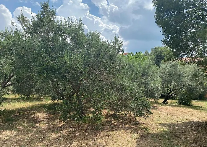Jaki, דירה *