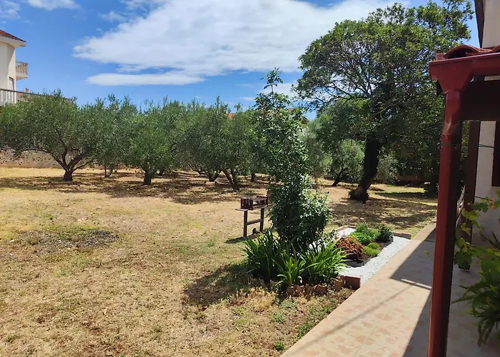 Jaki, ביוגראד נה מורו